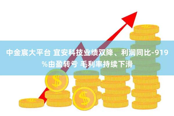 中金宸大平台 宜安科技业绩双降、利润同比-919%由盈转亏 毛利率持续下滑
